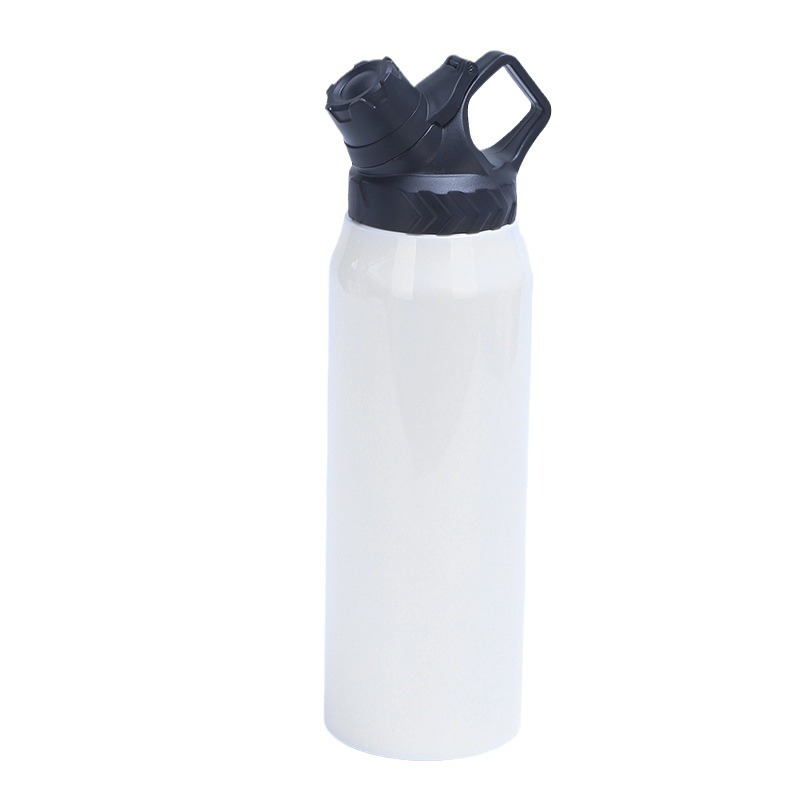 Stainless Steel Insulated Water Bottle with Straw Lid