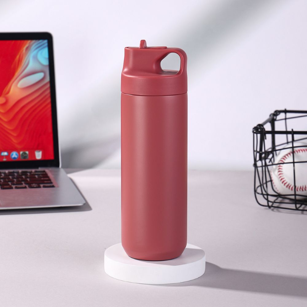 Double-Wall Stainless Steel Straw Lid Bottle